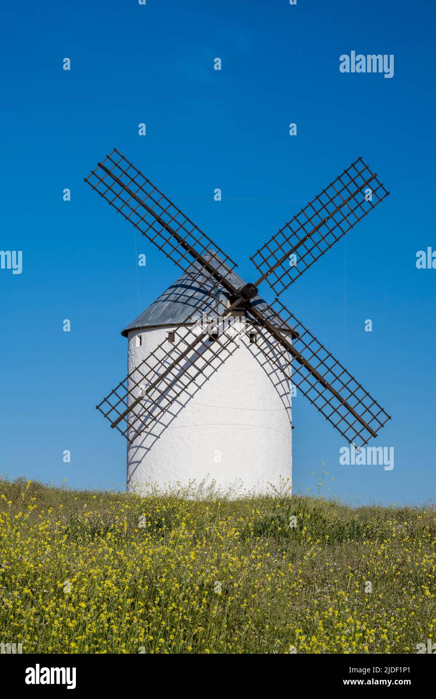 Typical windmill,  Campo de Criptana, Castilla-La Mancha, Spain Stock Photo