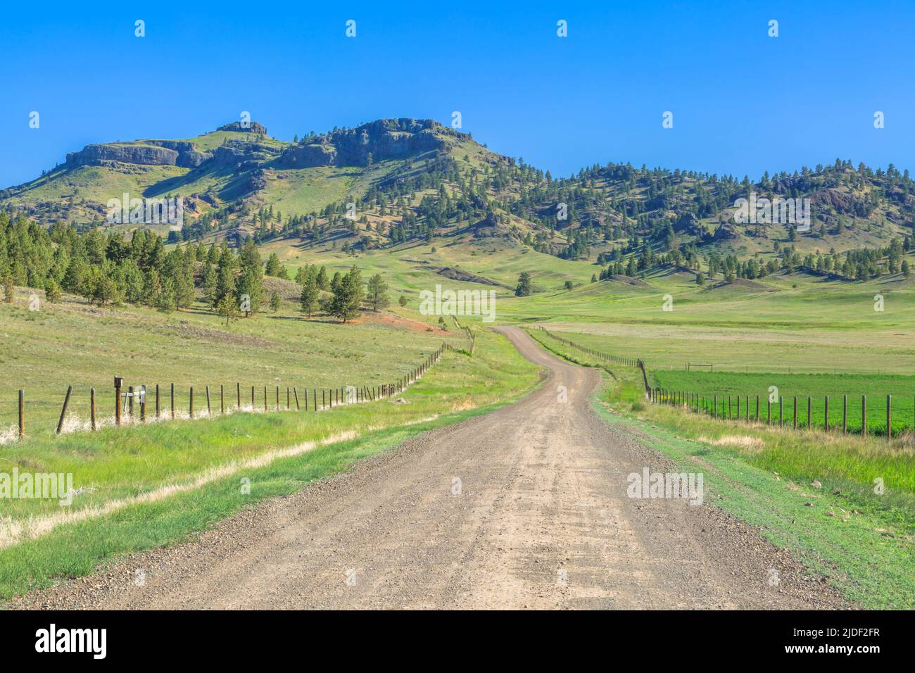 backroad leading to coburn mountain near craig, montana Stock Photo Alamy
