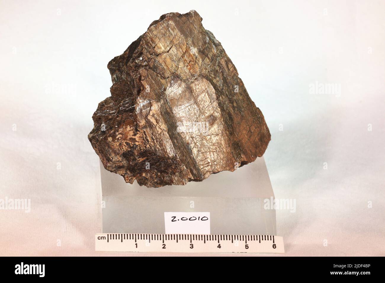 Enstatite. minerals. Europe; Austria; Styria; Leoben; Kraubath an der Mur, Preg; Gulsen quarry [Kraubath] Stock Photo