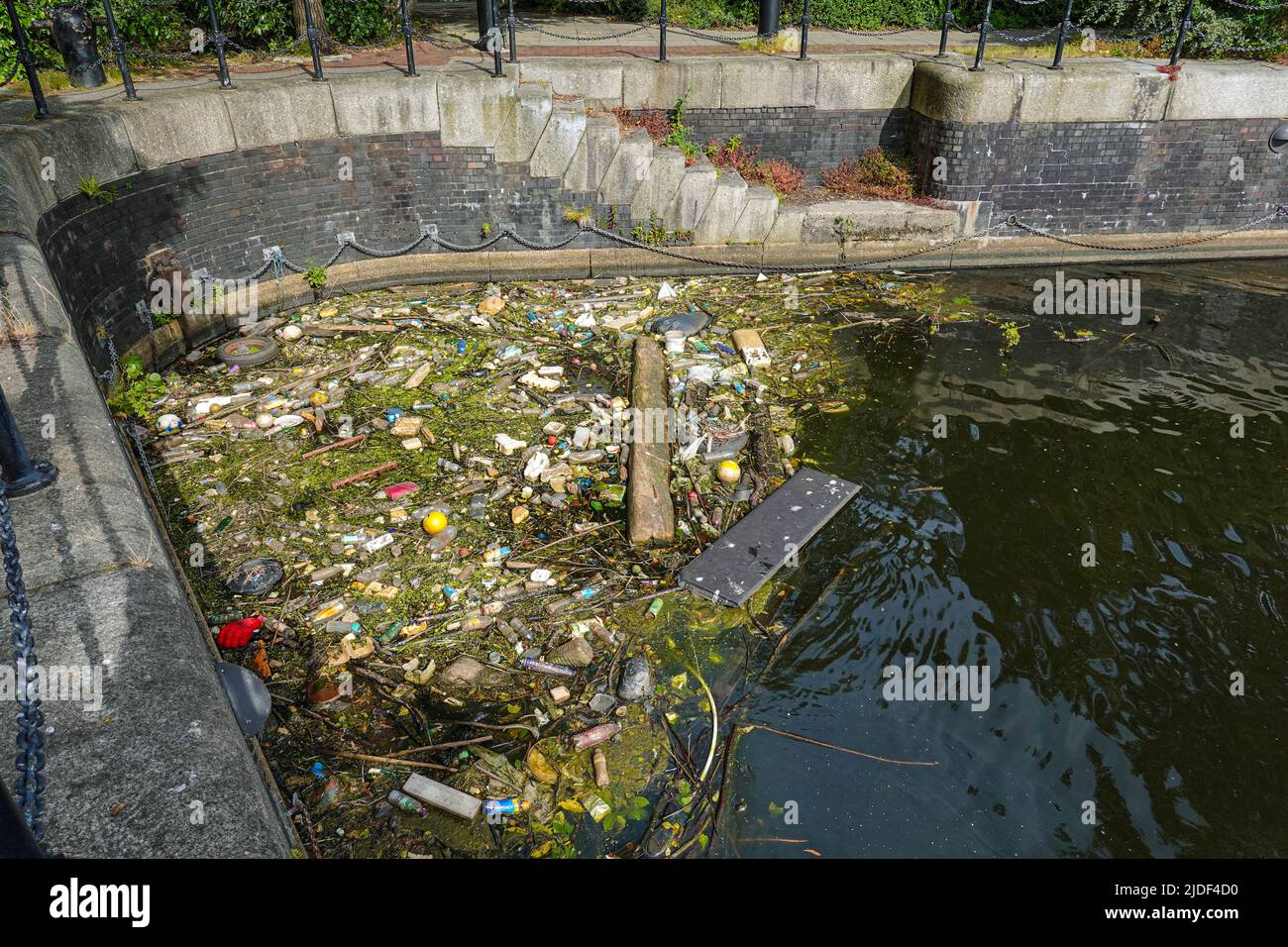 Floating rubbish, garbage in the old docks at Salford, Manchester, UK