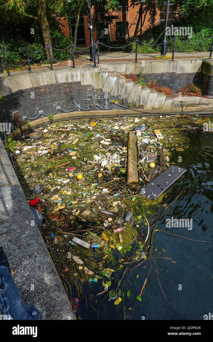 Floating rubbish, garbage in the old docks at Salford, Manchester, UK, now known as Salford