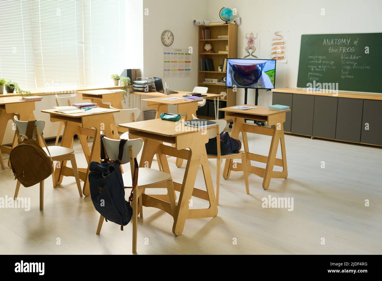 spacious-classroom-of-biology-or-anatomy-with-several-wooden-desks-with
