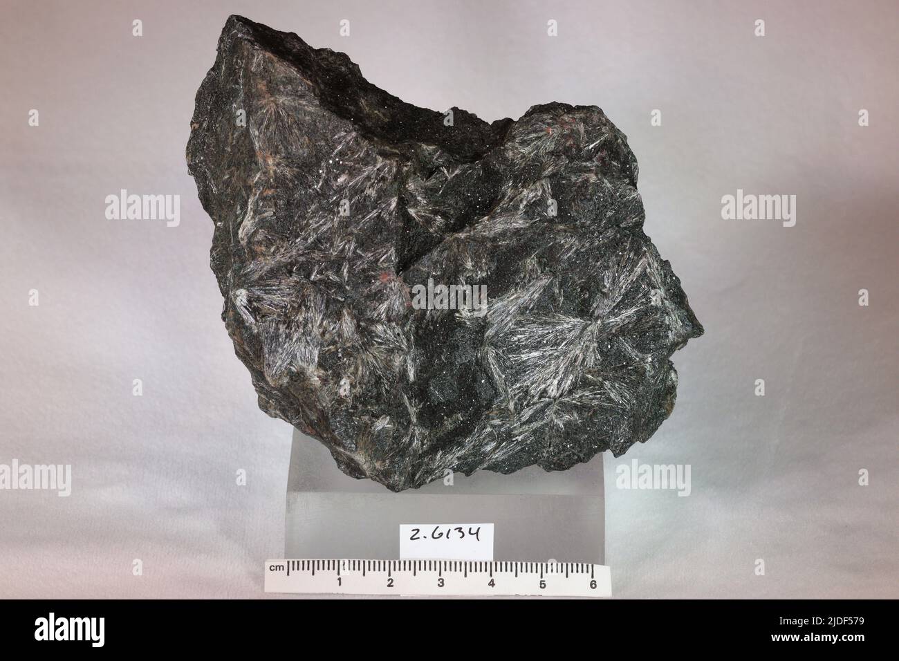 Cummingtonite. minerals. North America; USA; South Dakota; Lawrence County; Lead; Homestake Mine Stock Photo