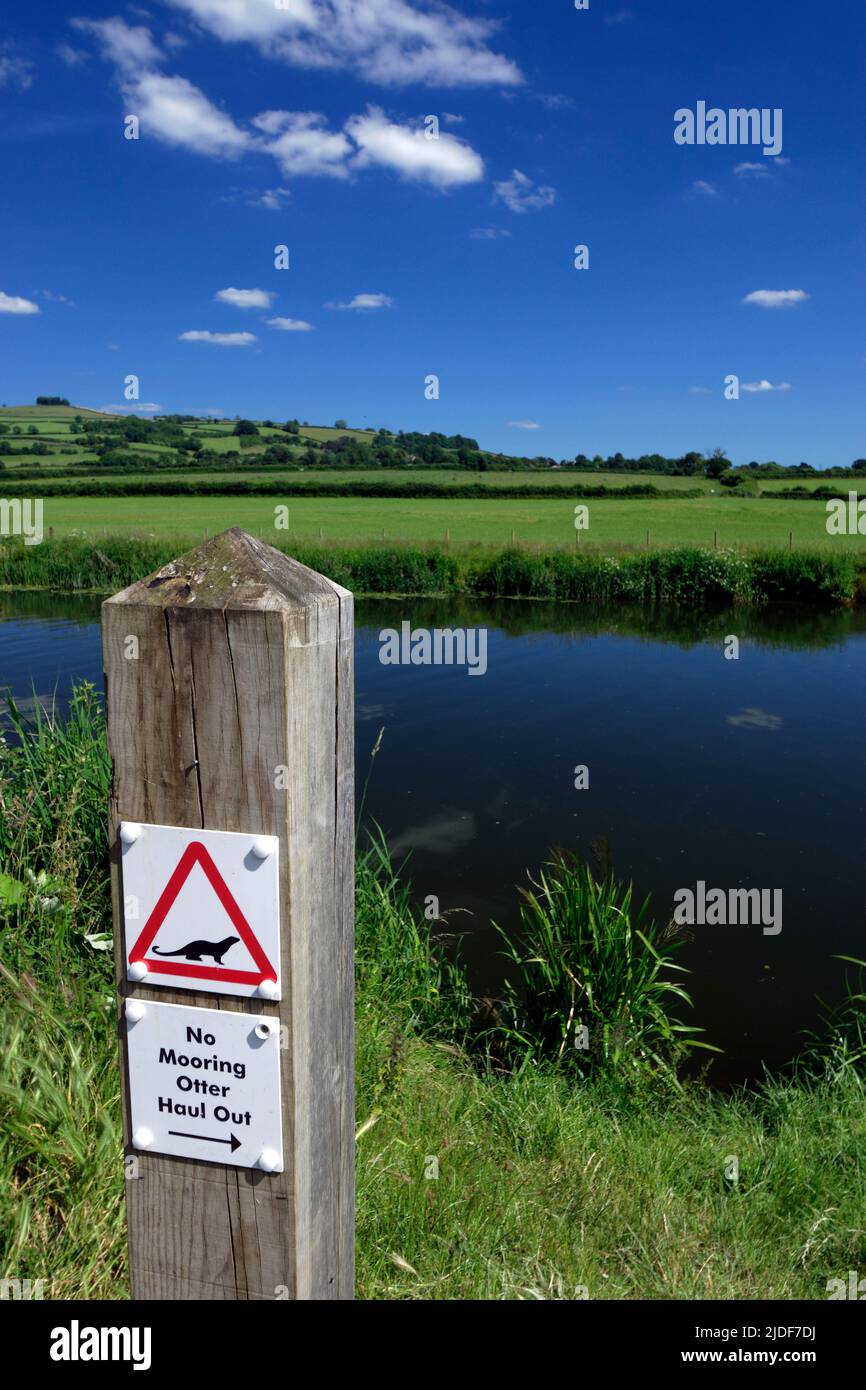 River Avon at Saltford near Bath, Somerset Stock Photo Alamy