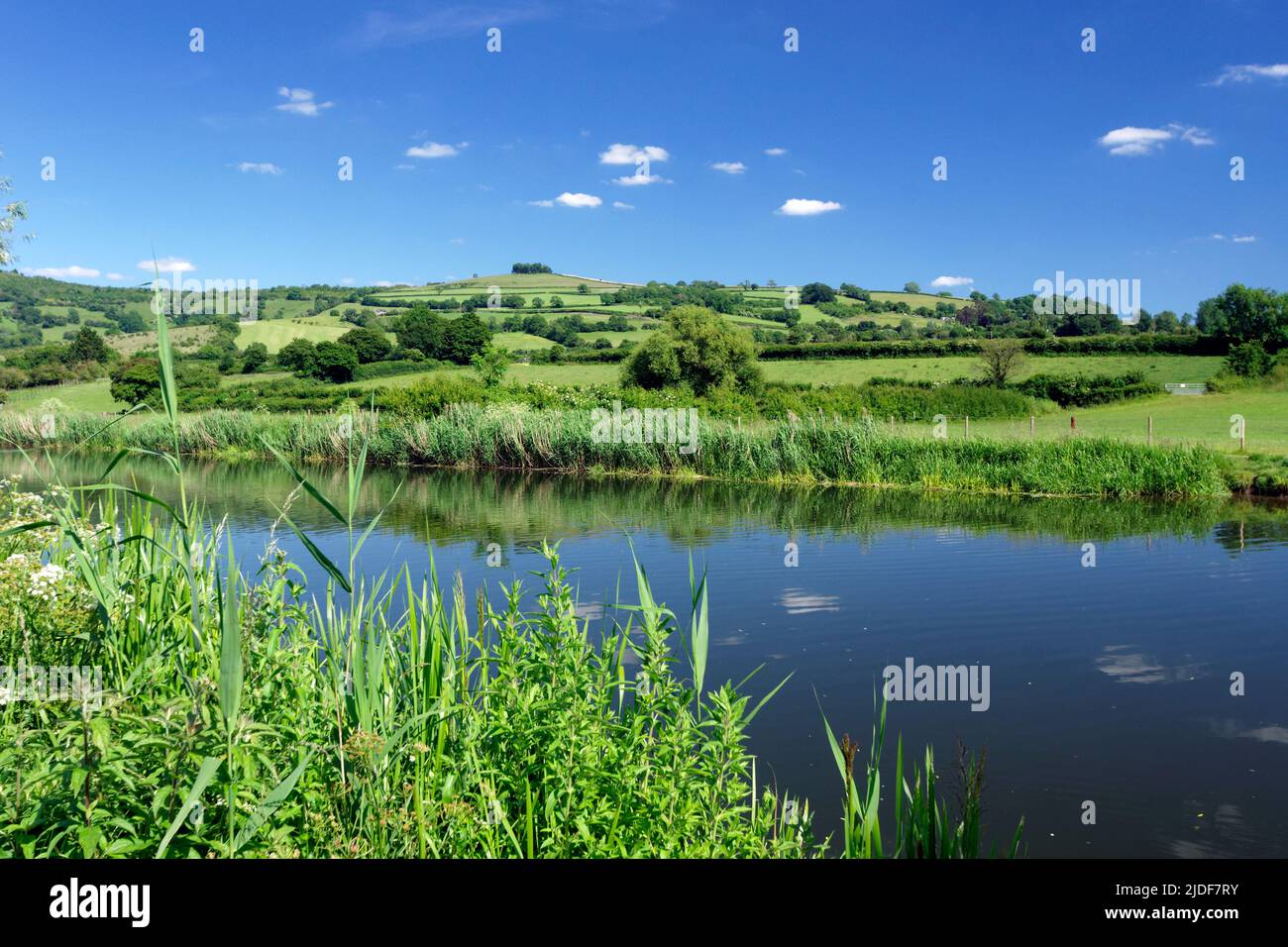 River Avon and Kelston Hill from Saltford near Bath, Somerset Stock