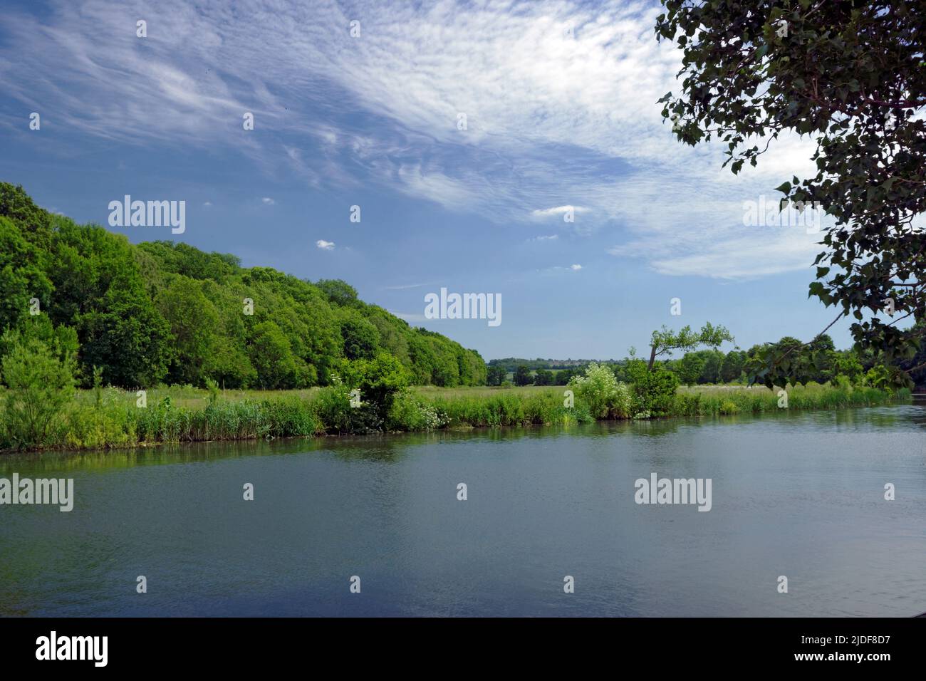 River Avon at Saltford near Bath, Somerset Stock Photo Alamy