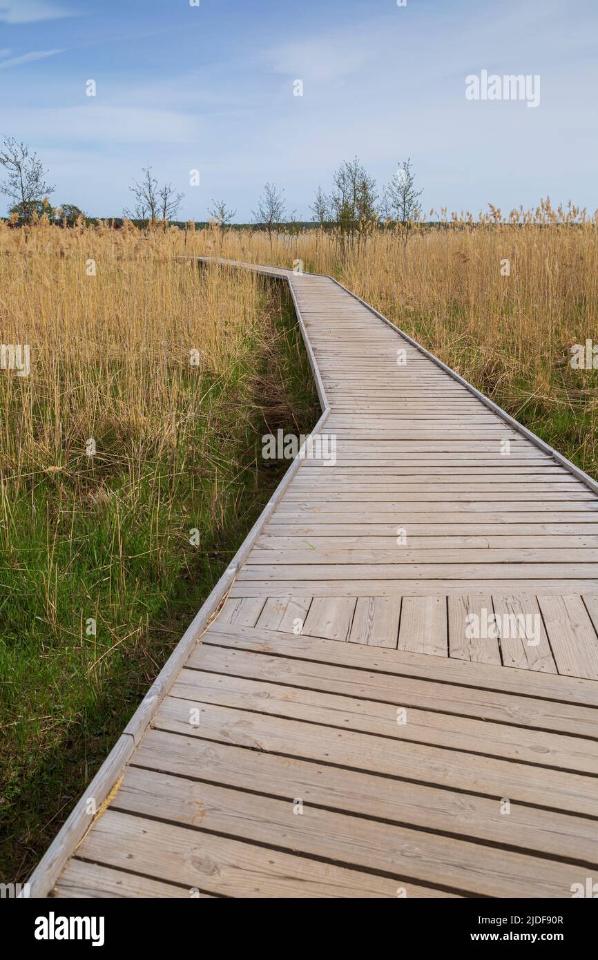 Wooden walkway on a field in Mariehamn, Åland Islands, Finland, on a sunny day. Stock Photo