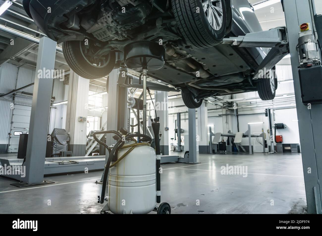 Engine oil change in car service. Auto is on hydraulic lift in garage workshop, process of draining old dark used oil. Stock Photo