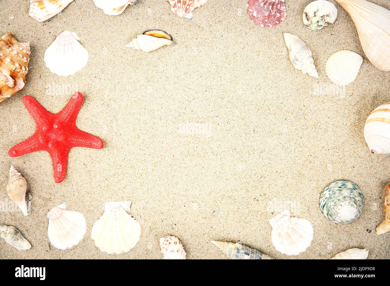 Sand seashells sea star background empty copy space.Beach coast ...
