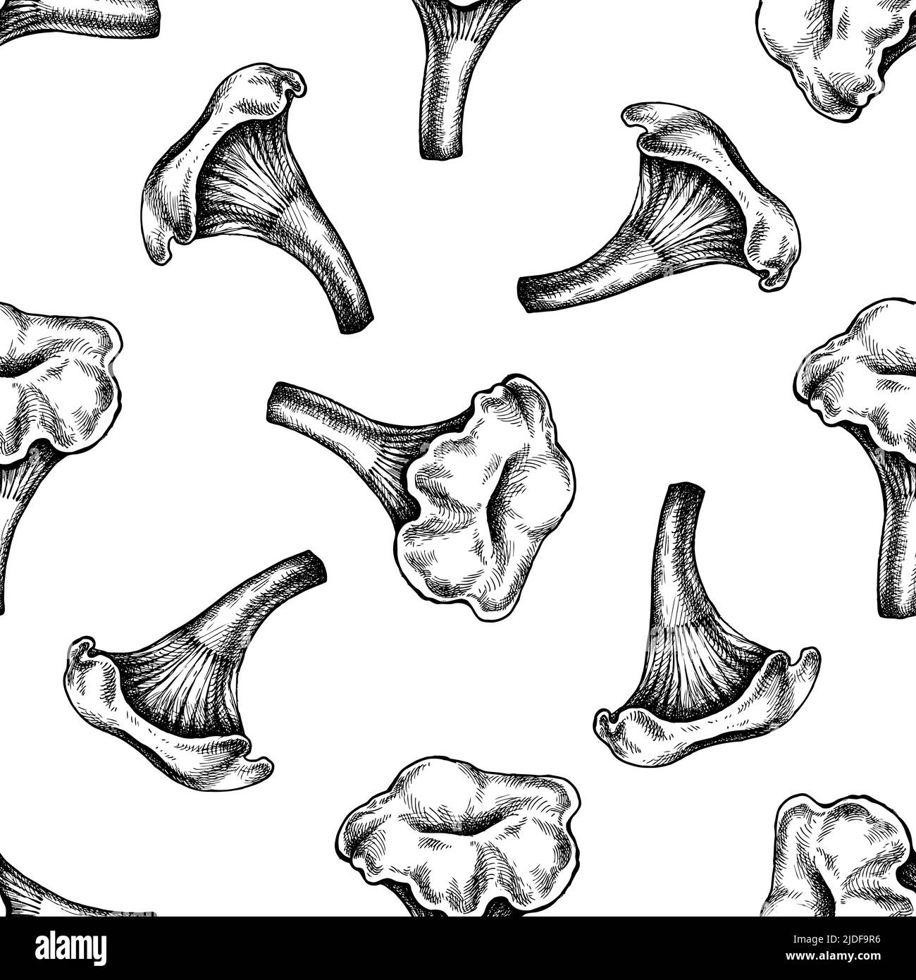 Seamless pattern with black and white chanterelle Stock Vector Image