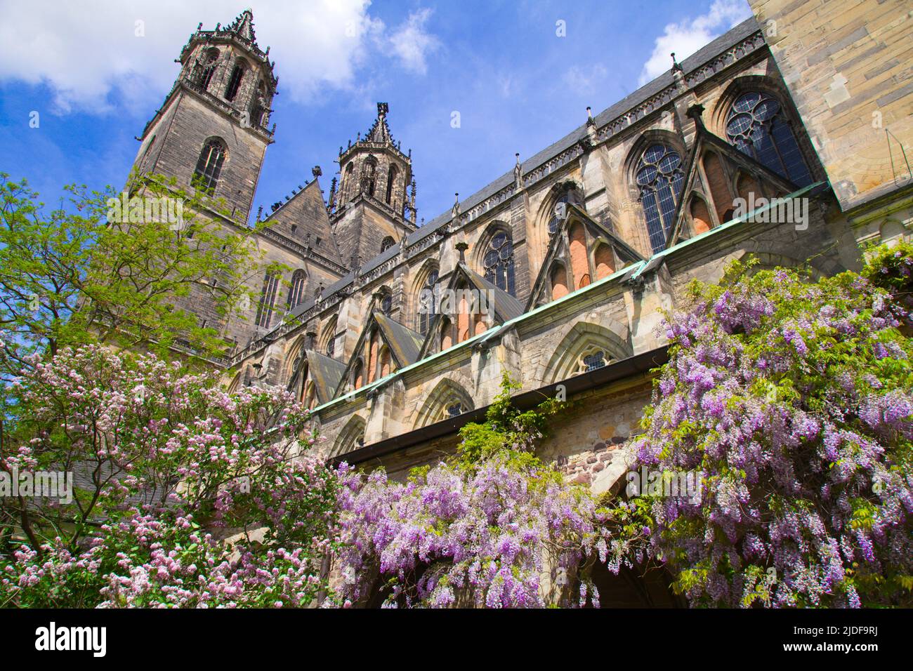 Germany, Saxony - Anhalt, Magdeburg, Dom, Cathedral, Stock Photo