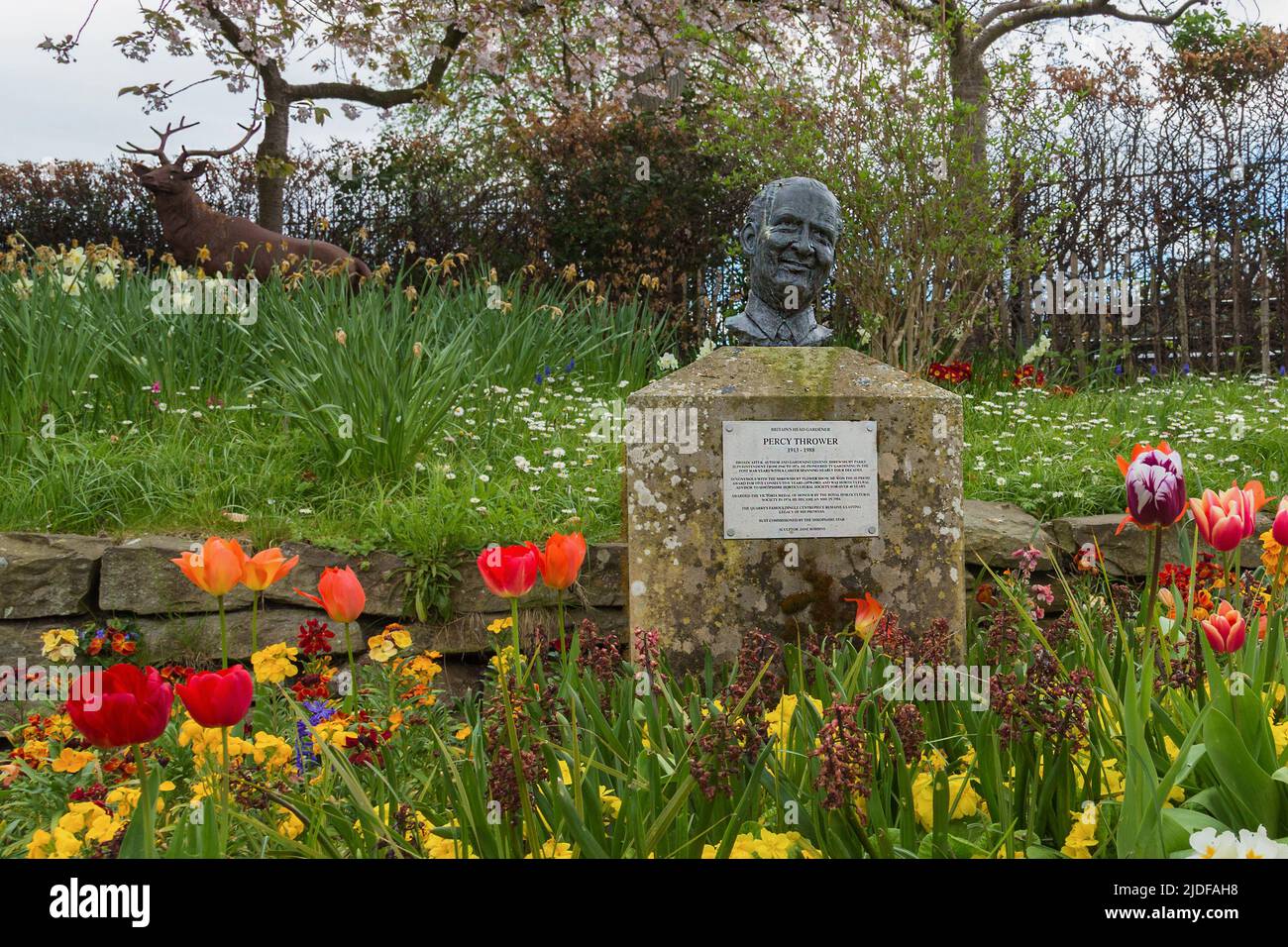 A bust of the famous TV gardening celebrity Percy Thrower in the Dingle Gardens, The Quarry, Shrewsbury. Stock Photo