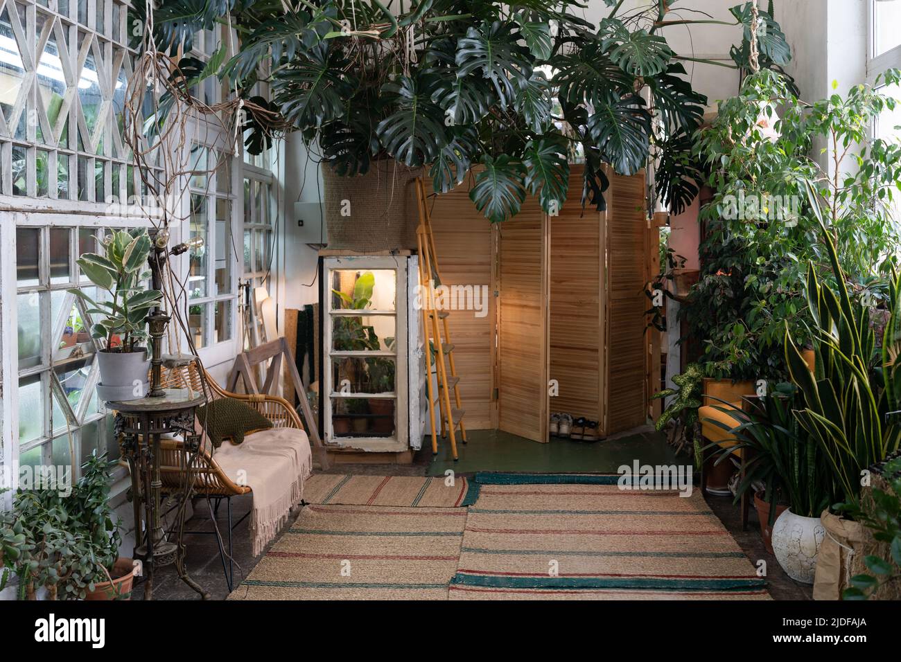 Cozy ecohome with indoor greenhouse, ecofriendly interior design