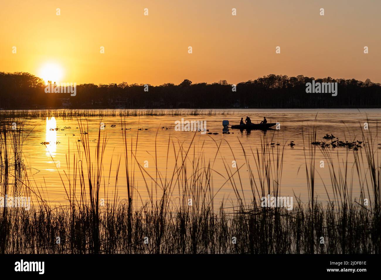 Sunset at Lake Tarpon Stock Photo