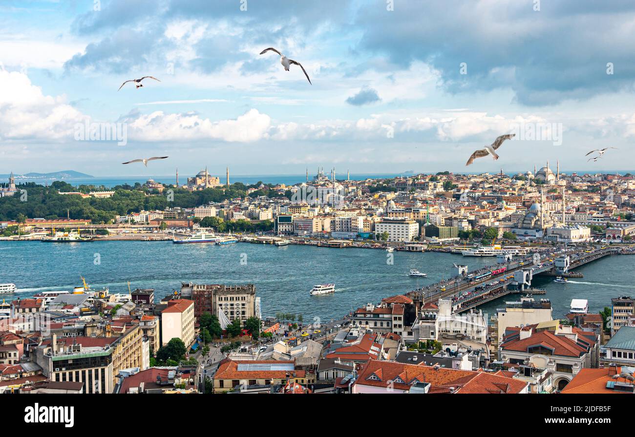 Istanbul panorama with Galata bridge and seagulls, skyline with Golden Horn strait Stock Photo