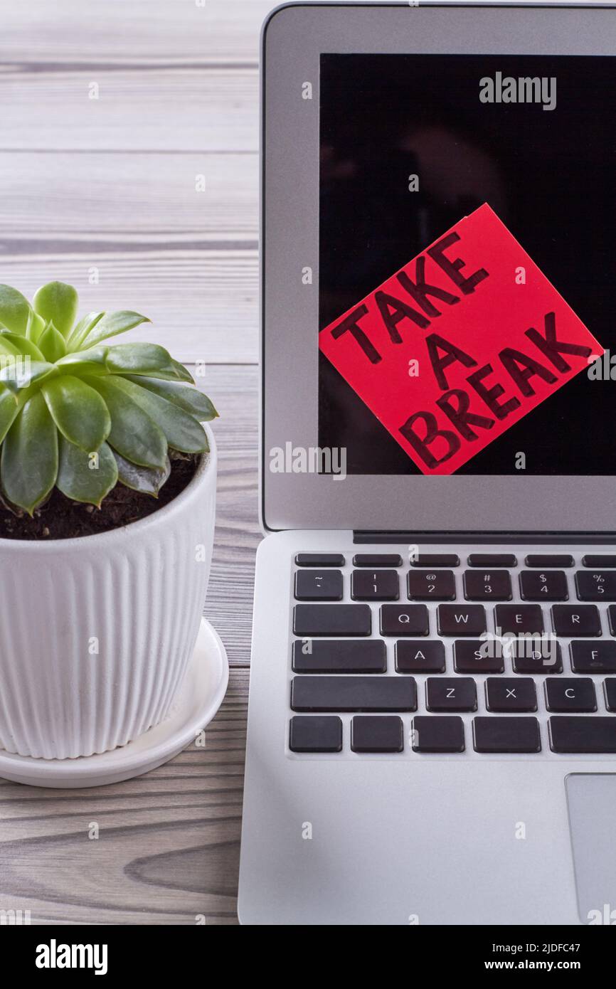 Sticker note with take a break message on laptop screen. Flowerpot with green leaves. Stock Photo