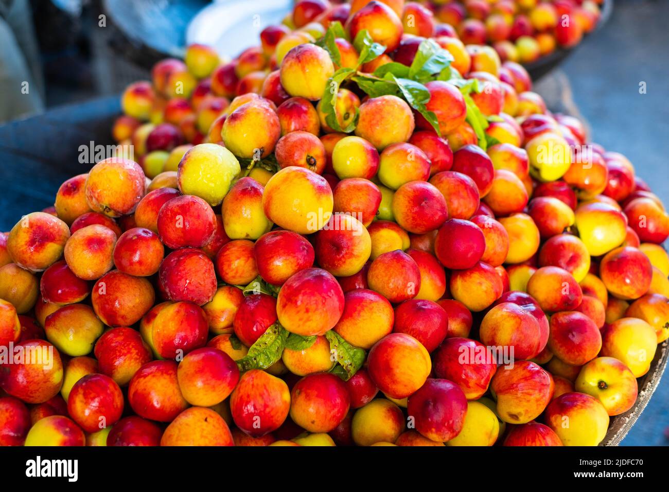 Peachs Damasco Siria Stock Photo 40668232