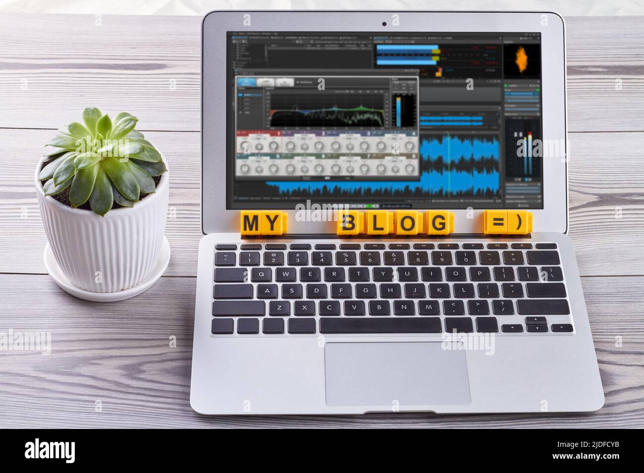 Open laptop pc with plant on the desk. Sound editor on the screen. My