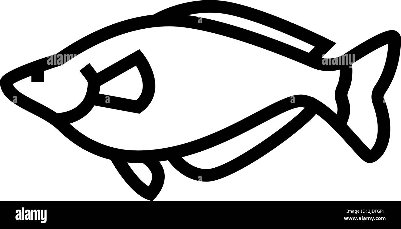 rainbowfish aquarium fish line icon vector illustration Stock Vector