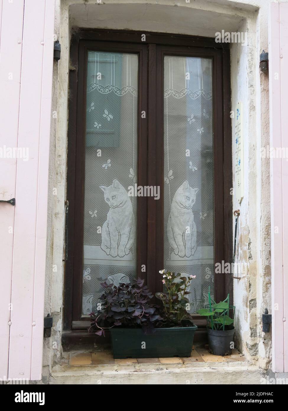 A quaint window in an old French house with a pair of cats on the voile curtains and a window-box on the sill. Stock Photo