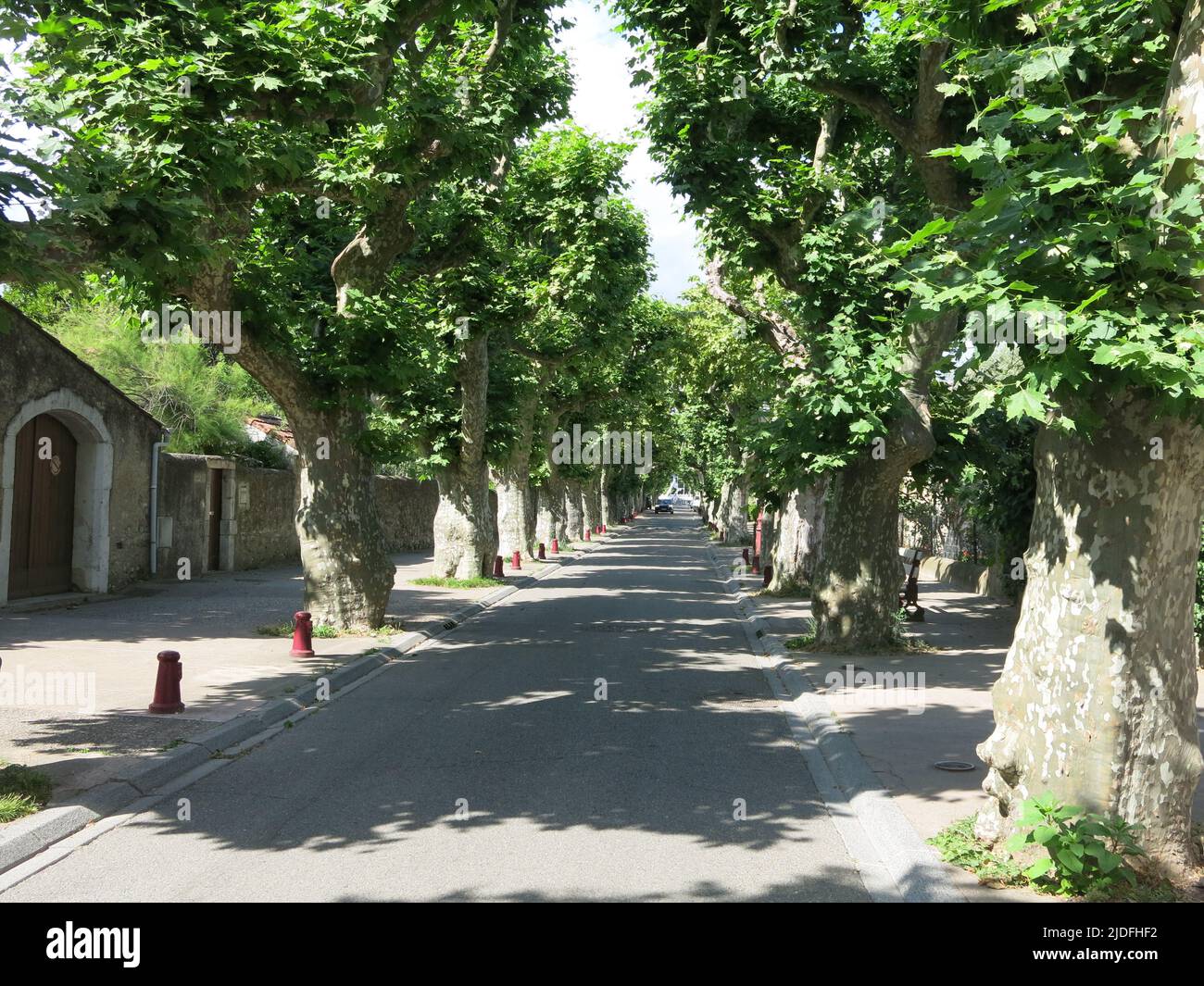 Take a stroll from the river along the tree-lined Allee du Rhone into the quaint old town of Viviers; touring in southern France. Stock Photo