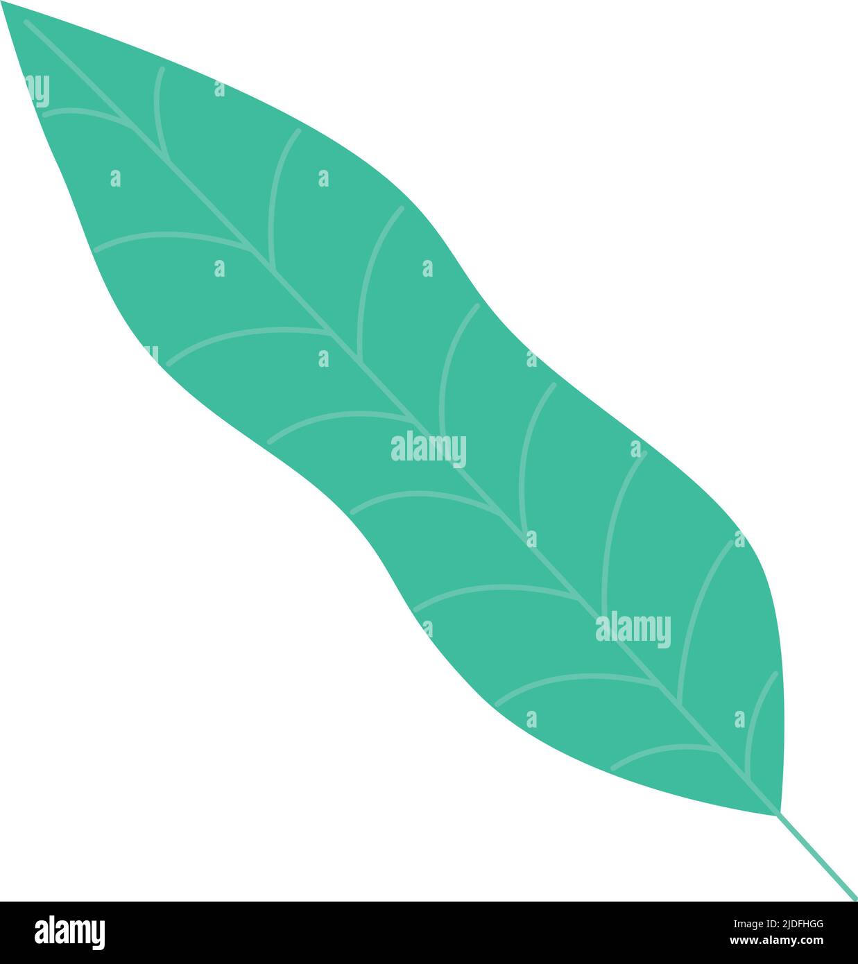 green leave nature Stock Vector Image & Art - Alamy
