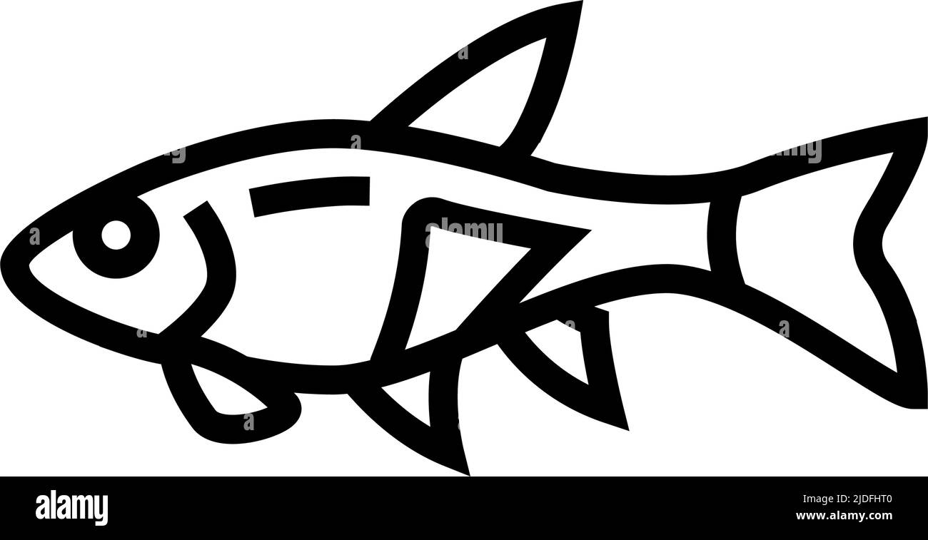 rasbora fish line icon vector illustration Stock Vector