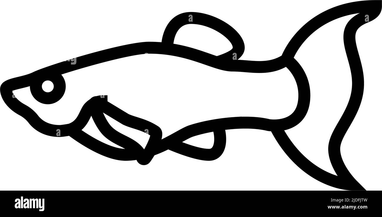 molly fish line icon vector illustration Stock Vector