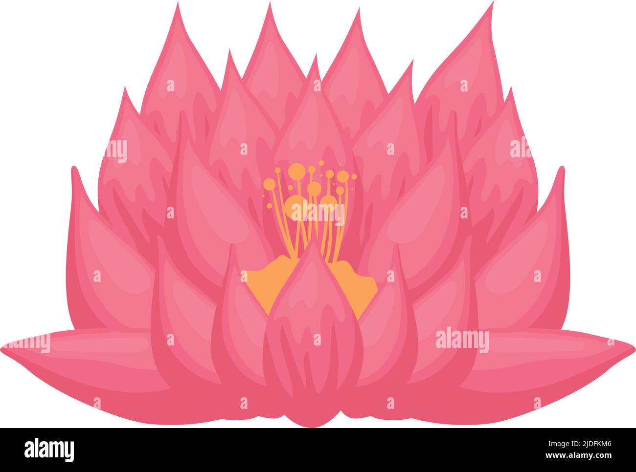 pink lotus flower Stock Vector Image & Art - Alamy