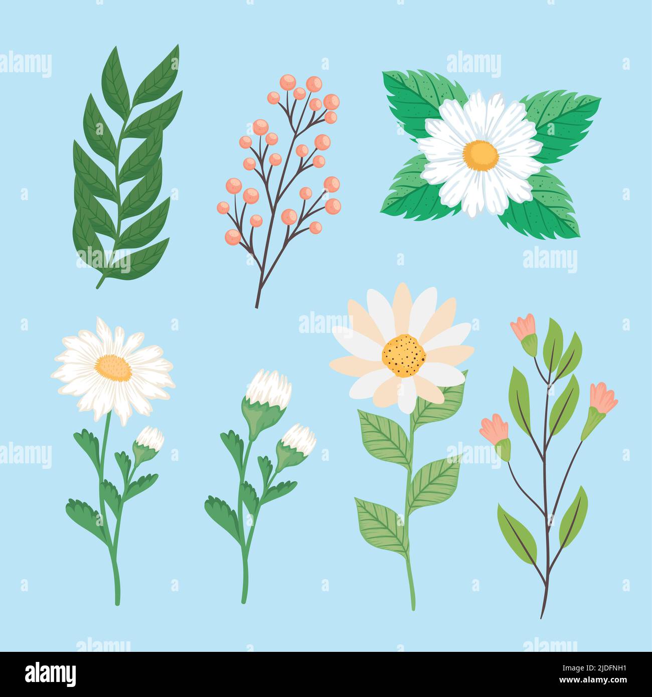 set of flowers decoration Stock Vector Image & Art - Alamy