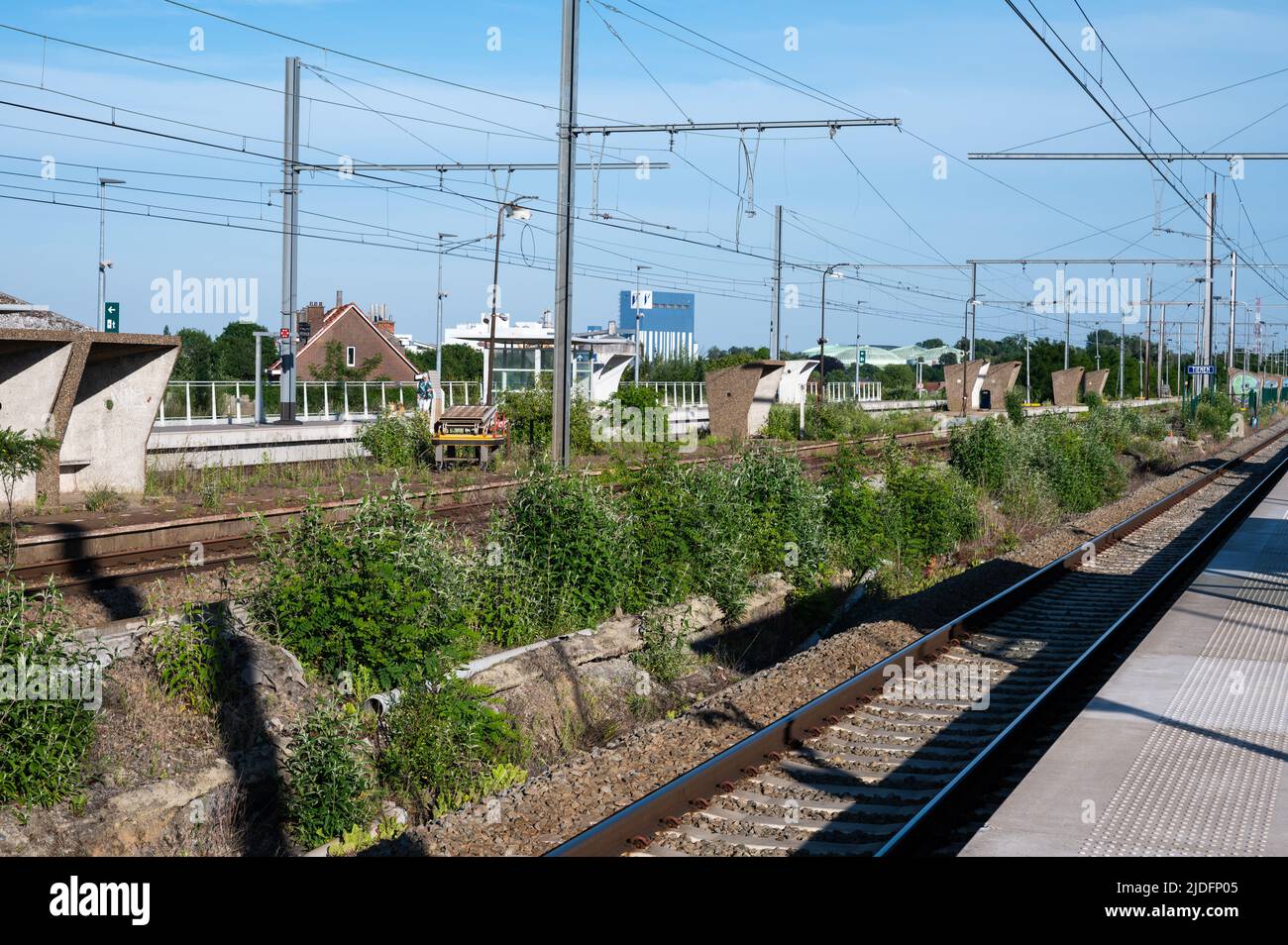 Abandoned railroad overgrown weeds hi-res stock photography and images ...