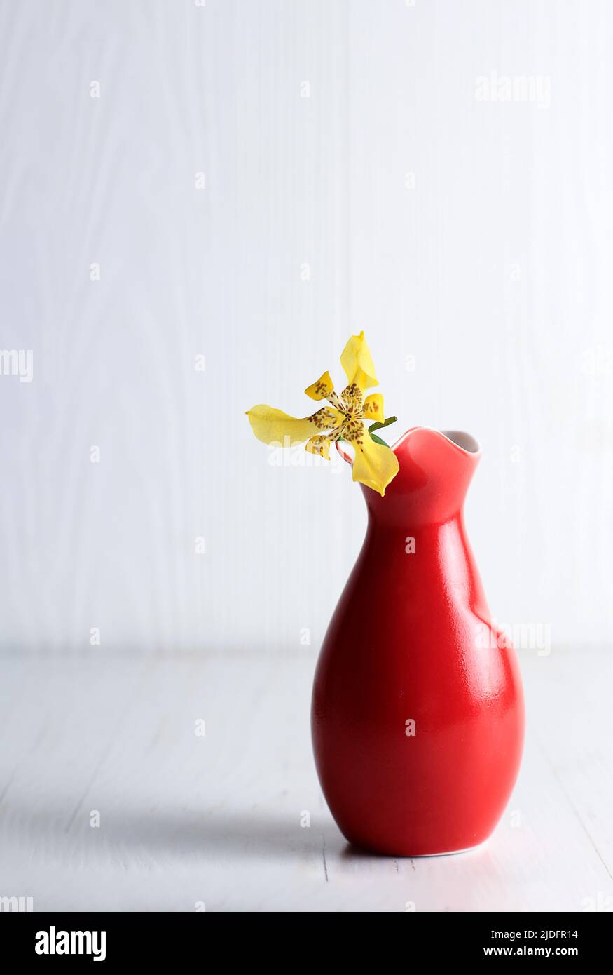 Iris pseudacorus on Red Vase, Copy Space for Text Stock Photo