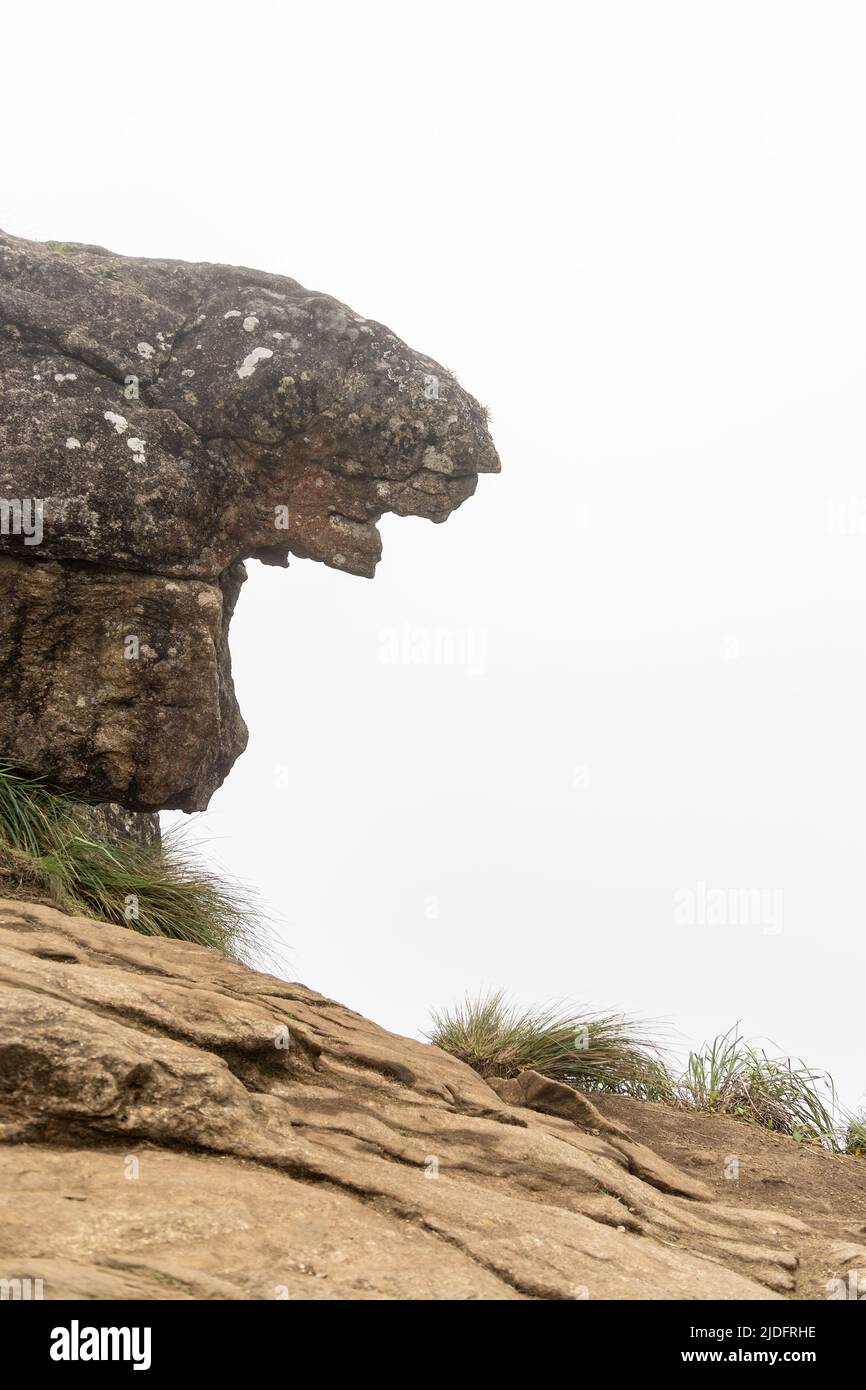 Sunrise point and tiger face shaped rock covered in fog, offering no view on a summer afternoon in Kolukkumalai, Munnar, Kerala Stock Photo