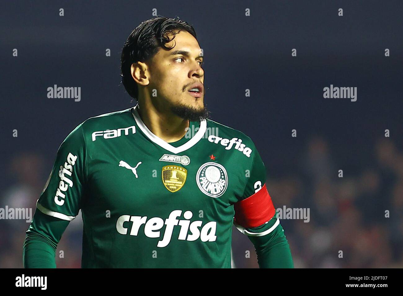 São Paulo x Palmeiras: informações, estatísticas e curiosidades – Palmeiras