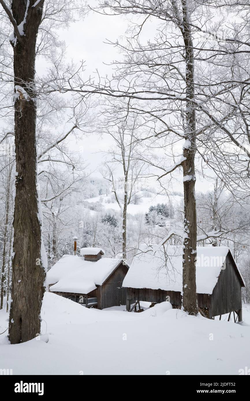Sugar shack in winter, Iron Hill, Eastern Townships, Quebec, Canada
