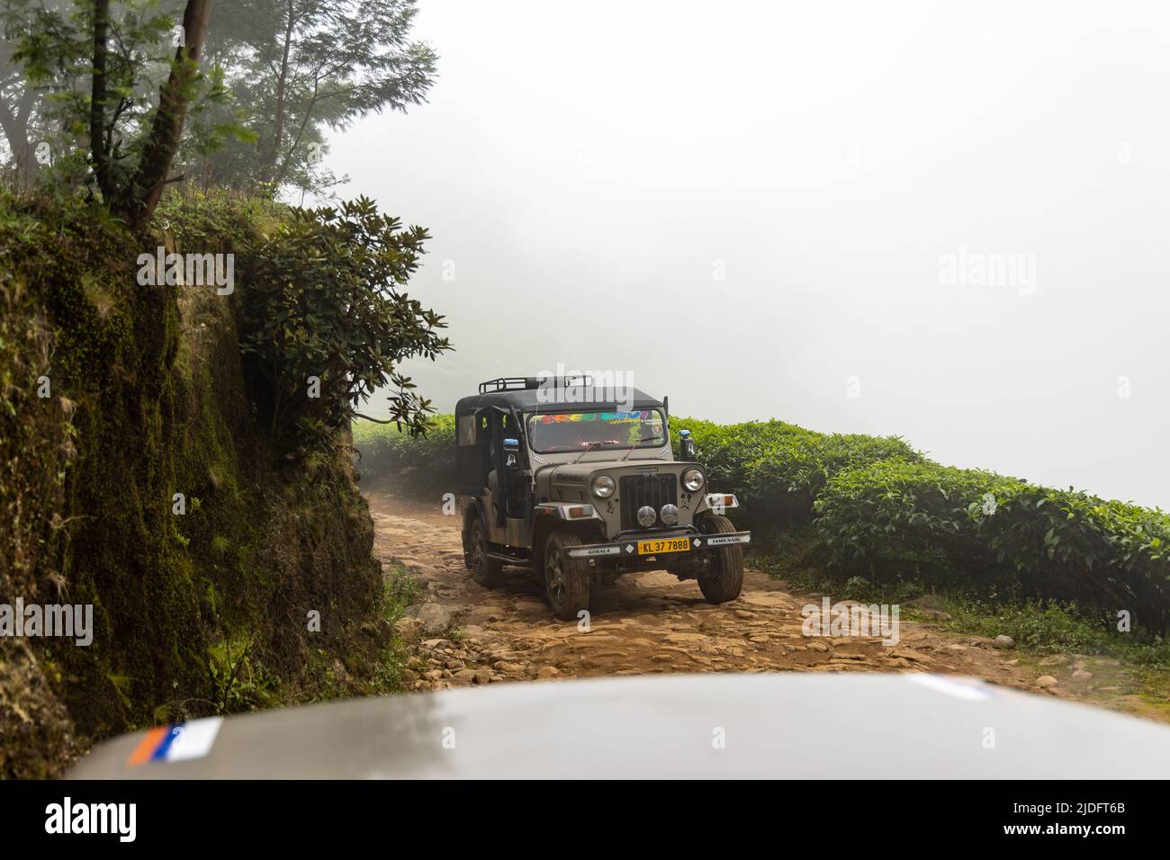 Two jeeps crossing on the off-road trail through world’s highest elevation tea plantation at Kolukkumalai, Munnar, Kerala, India Stock Photo
