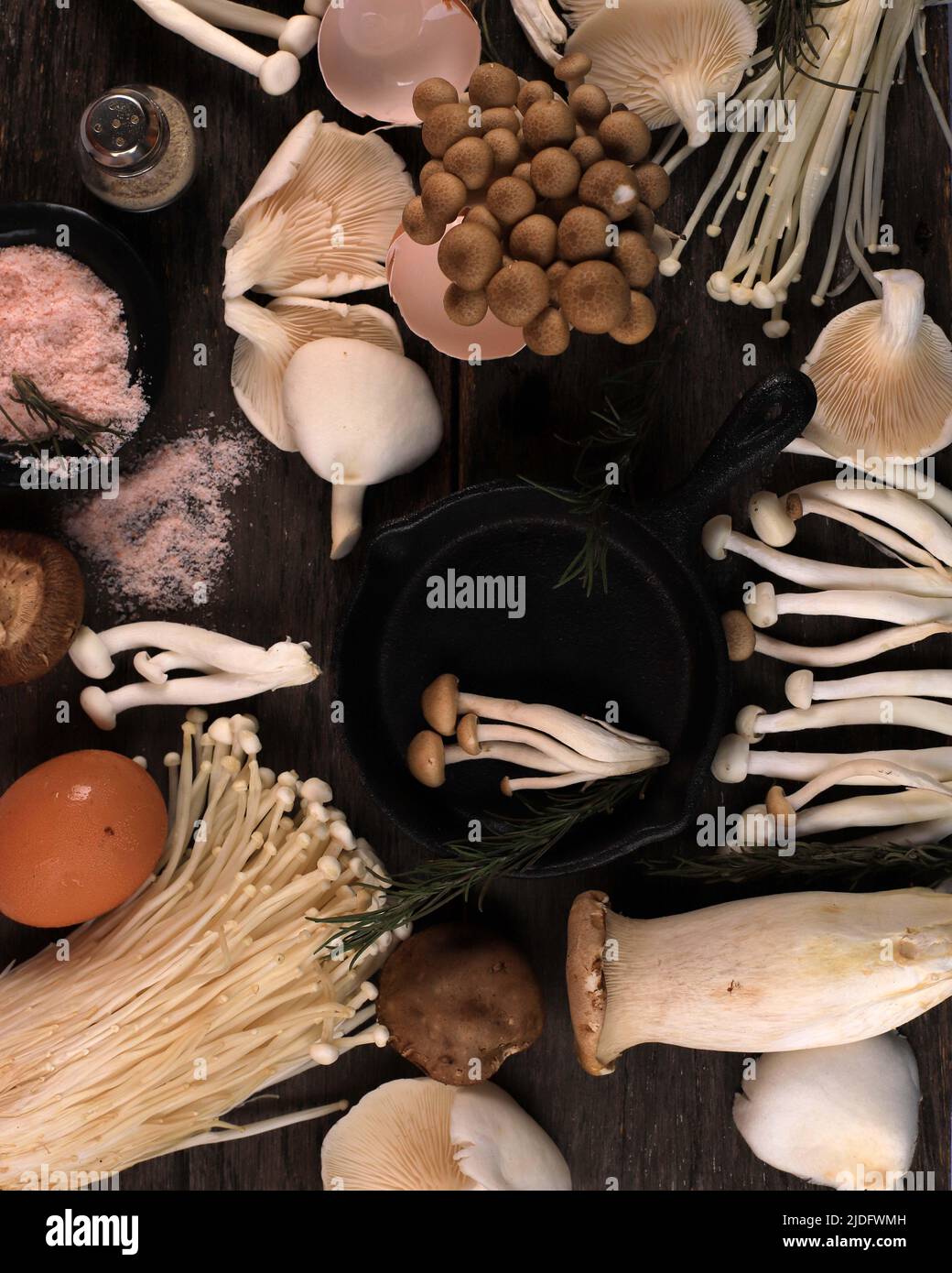 Various Raw Mushroom Types Portobello Mushrooms, Champignons, Shimeji