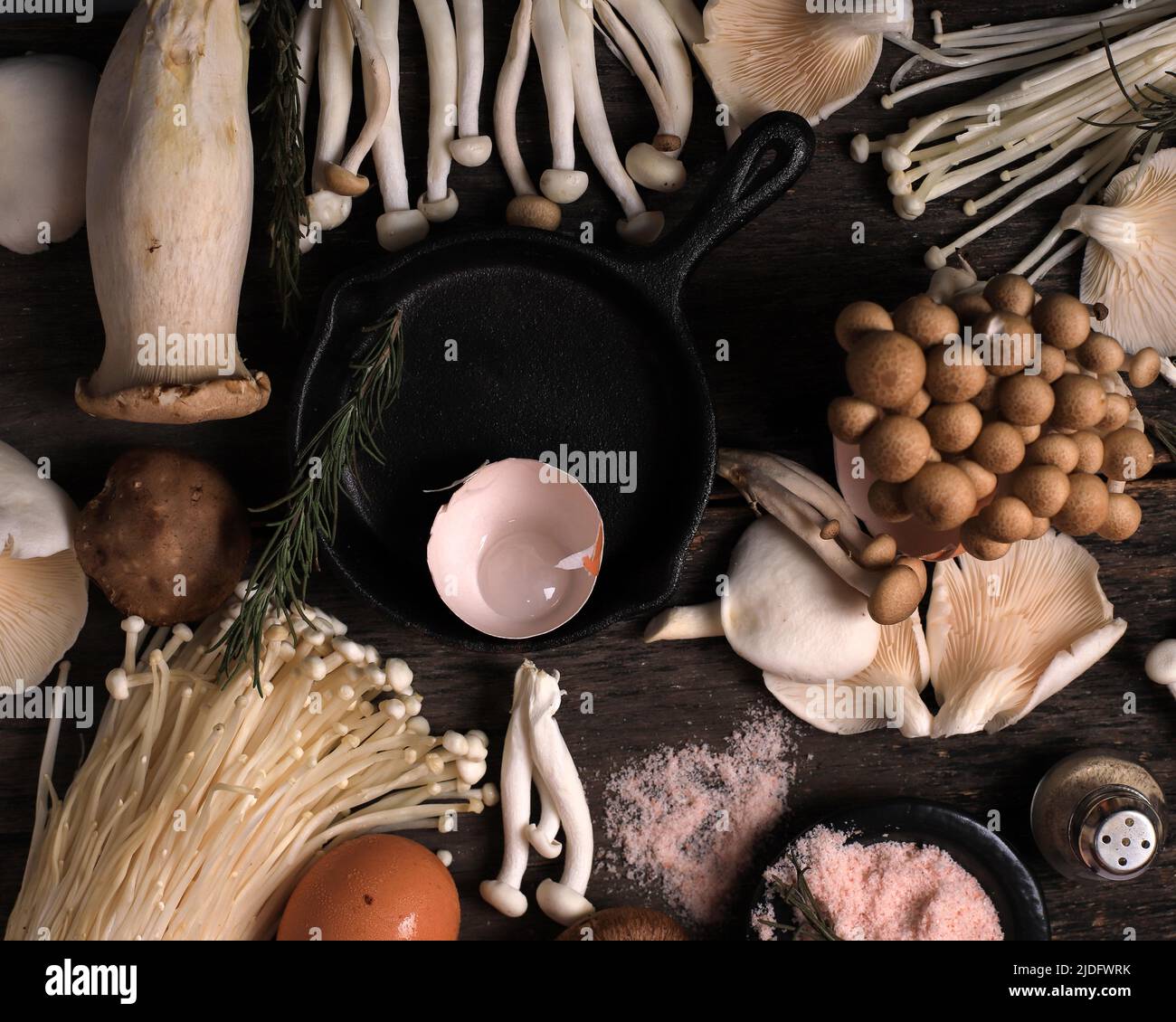 Various Raw Mushroom Types Portobello Mushrooms, Champignons, Shimeji