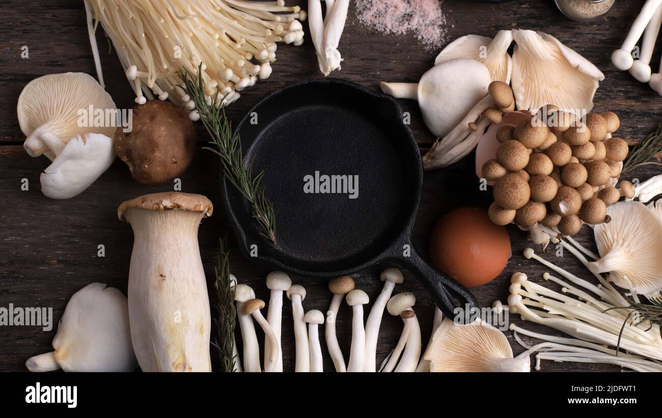 Various Raw Mushroom Types Portobello Mushrooms, Champignons, Shimeji