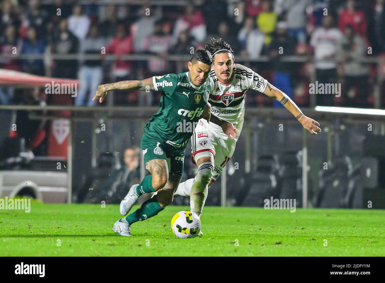 SÃO PAULO, SP - 30.03.2022: SÃO PAULO X PALMEIRAS - Rogério Ceni of São  Paulo during a match between São Paulo x Palmeiras valid for the first game  of the 2022 Campeonato