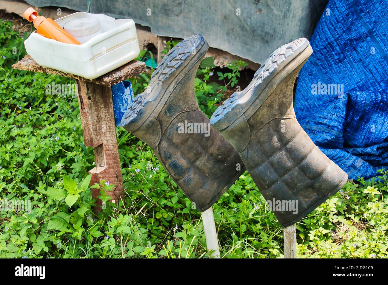 Precaution against the spread of swine diseases: rubber boots and disinfectant fluid at a piggery in Thailand Stock Photo