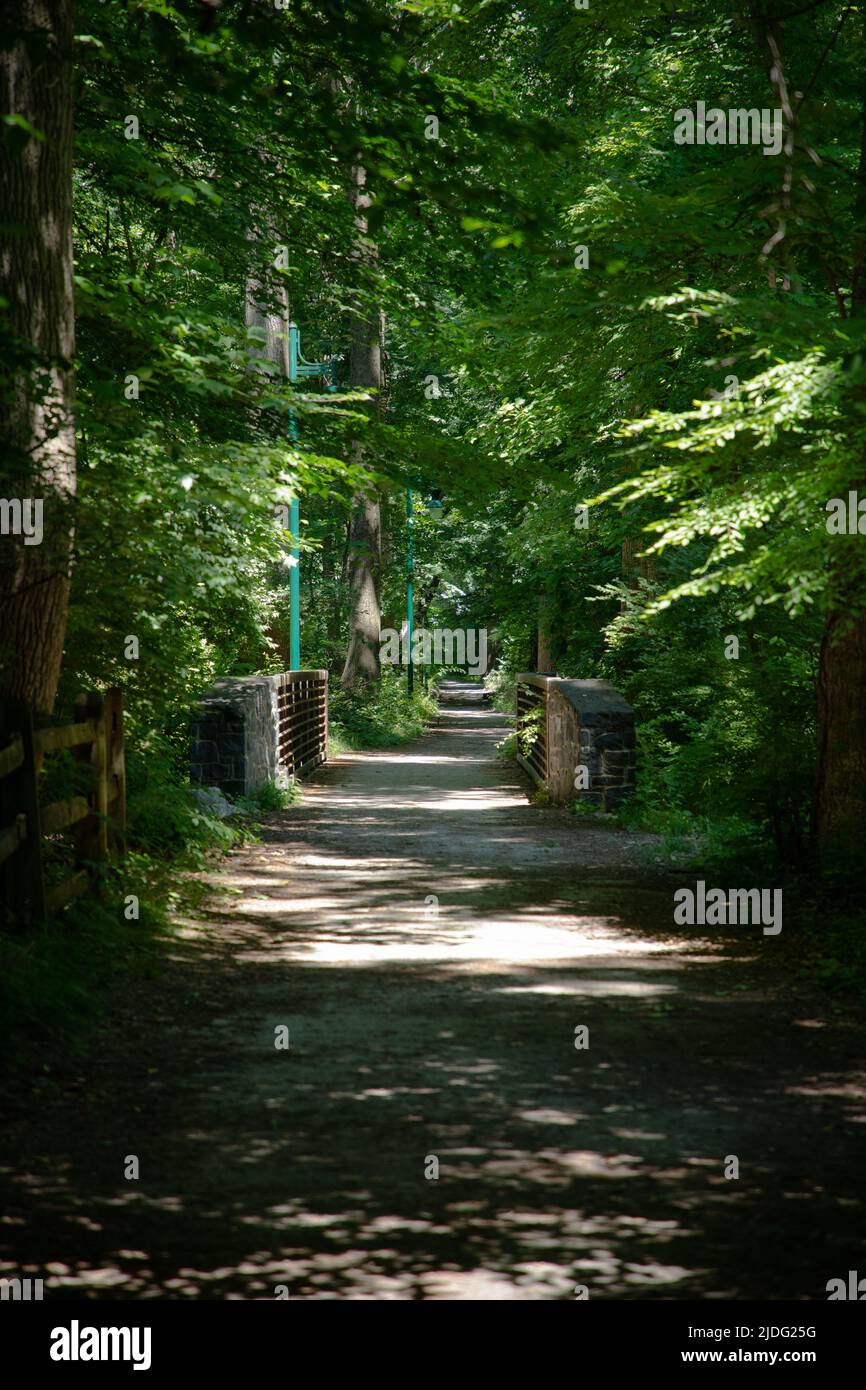 Explore hidden path through lush hi-res stock photography and images ...