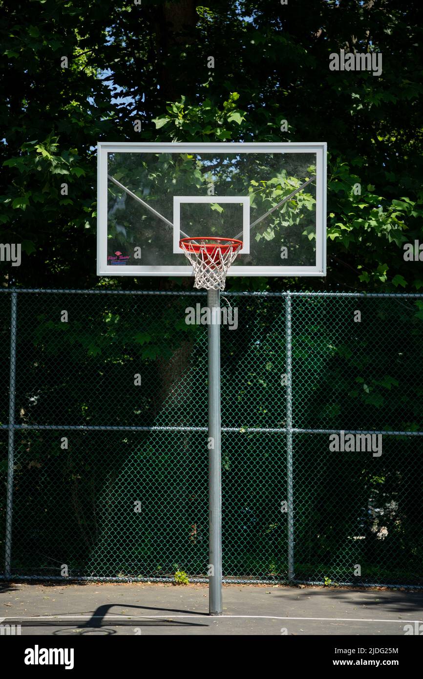 Old Basketball Court Surrounded by Lush Summer Woods Stock Photo Alamy