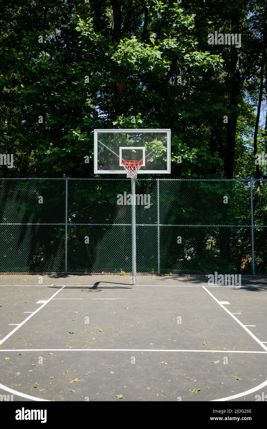 Old Basketball Court Surrounded by Lush Summer Woods Stock Photo Alamy