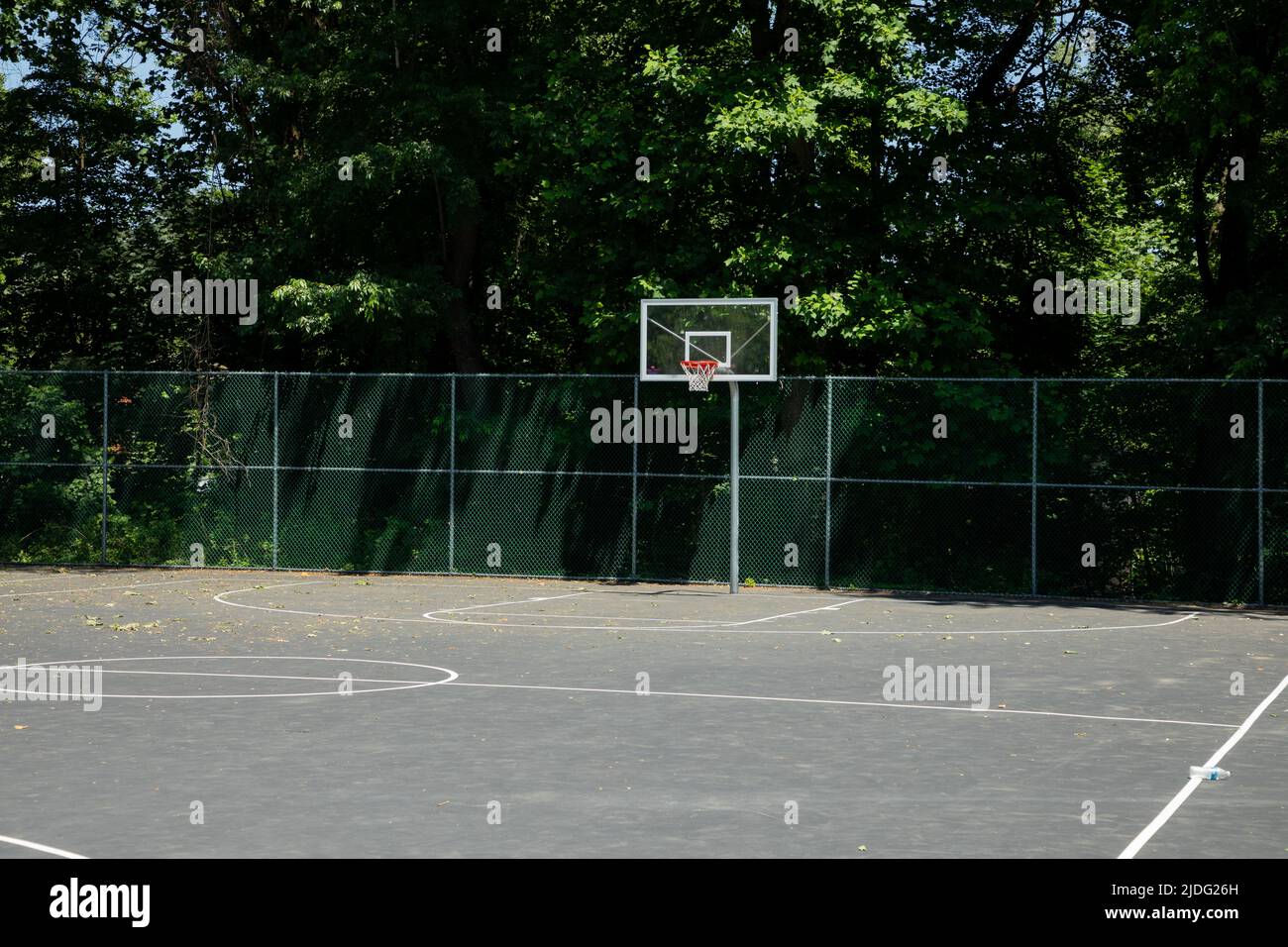 Old Basketball Court Surrounded by Lush Summer Woods Stock Photo Alamy