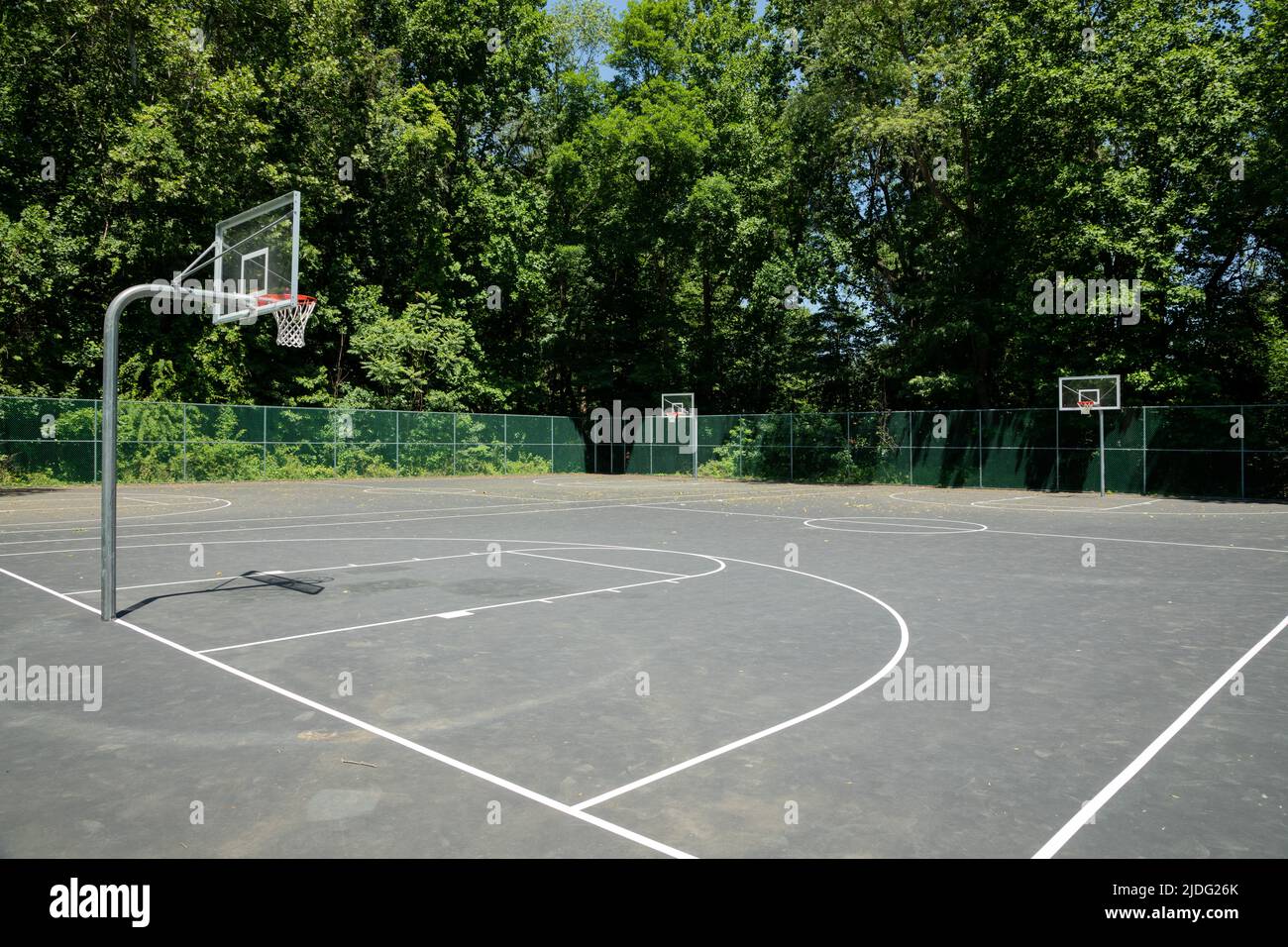Old Basketball Court Surrounded by Lush Summer Woods Stock Photo Alamy