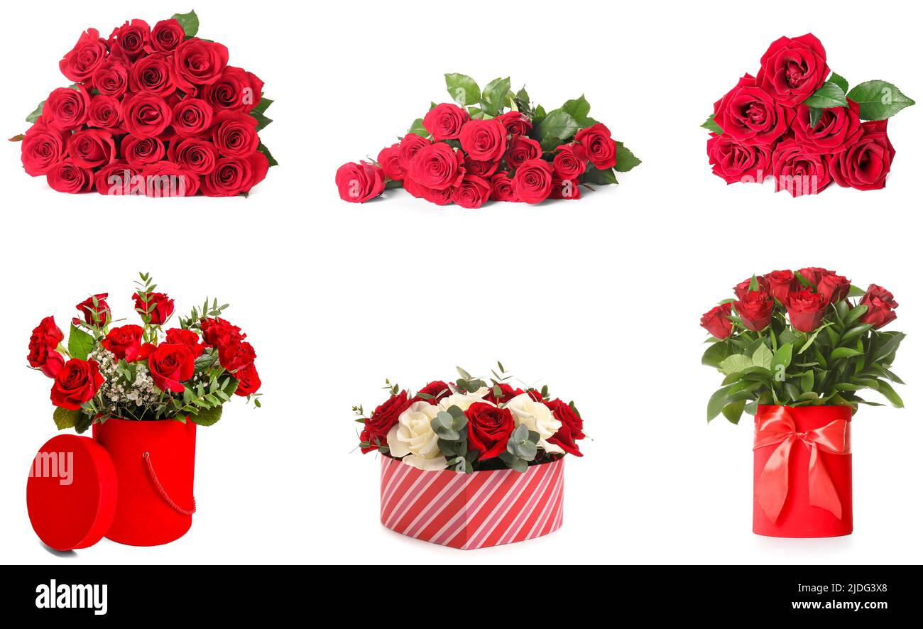 Set of many red roses isolated on white Stock Photo - Alamy
