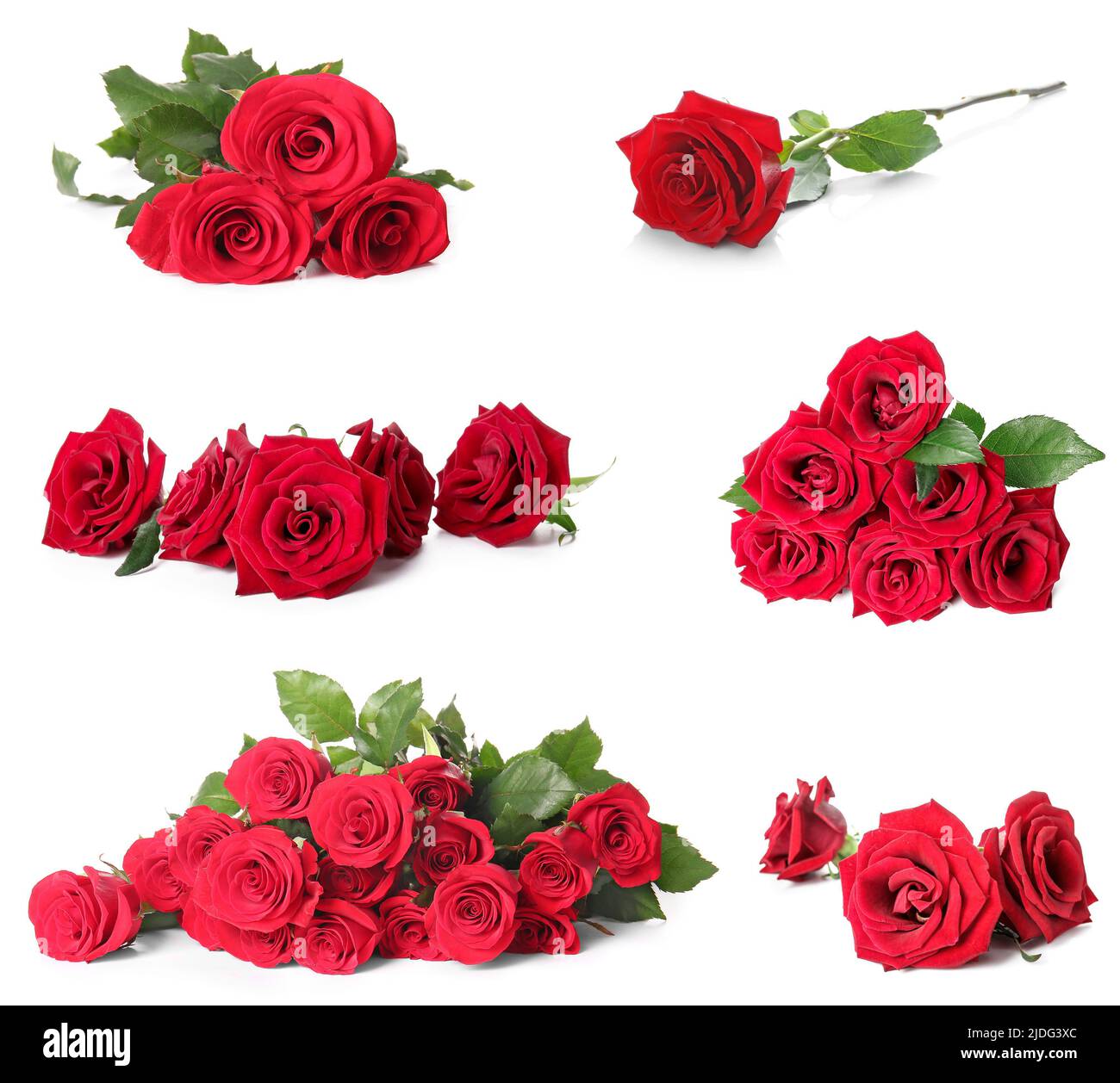 Set beautiful red roses hi-res stock photography and images - Alamy