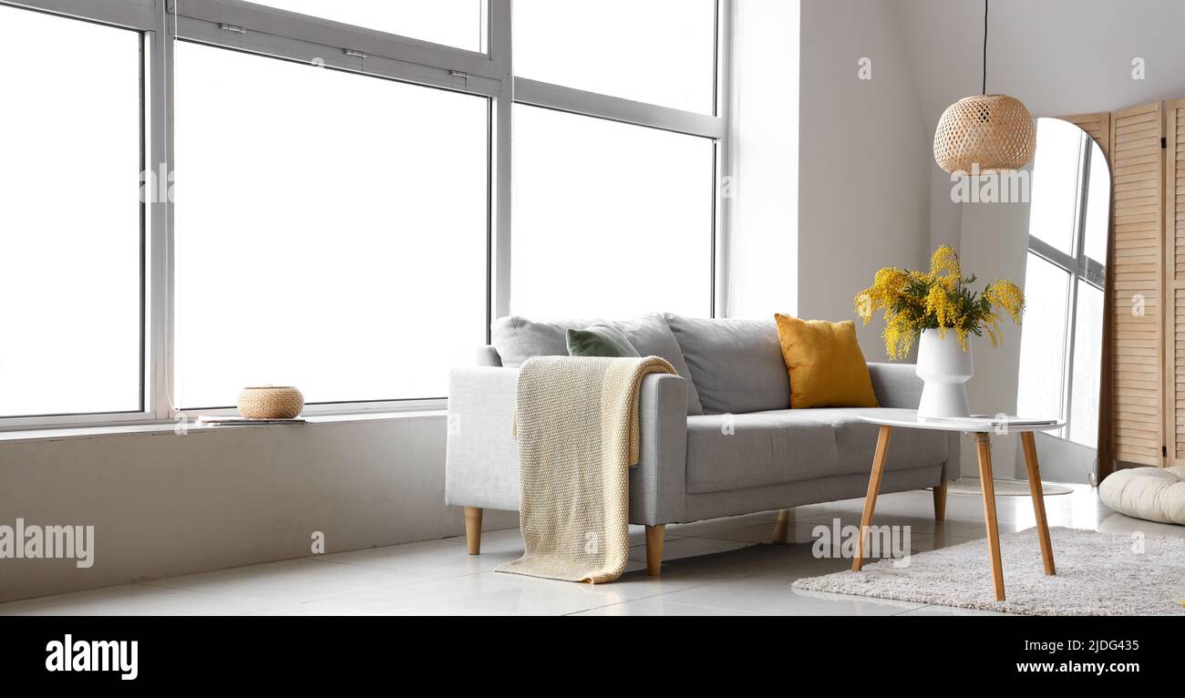 Sofa and table with bouquet of mimosa flowers in interior of living ...
