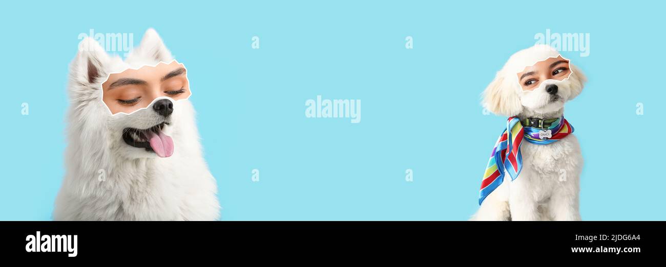 Cute Dogs With Human Eyes On Blue Background With Space For Text Stock Cute dogs with human eyes on blue background with space for text stock